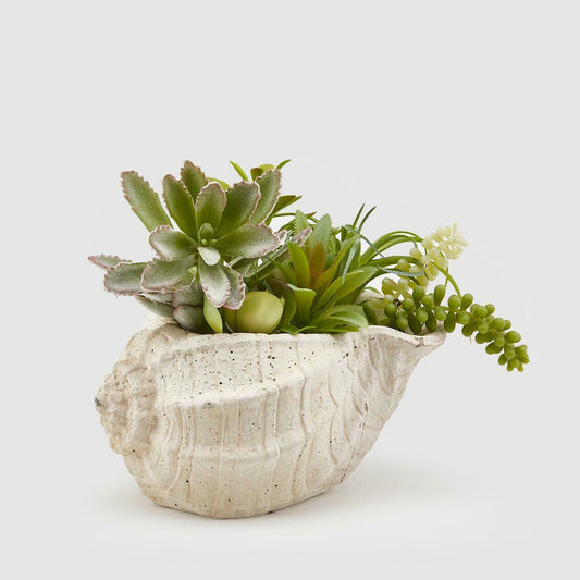 Vaso in cemento a forma di conchiglia con piante artificiali Succulent - Enzo De Gasperi