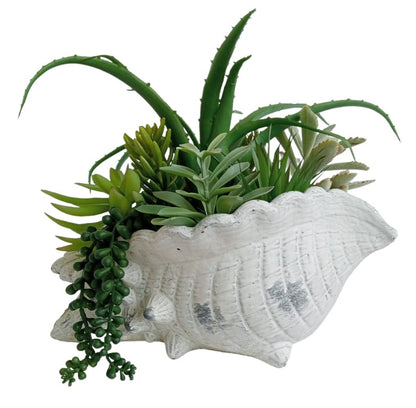 Vase en béton en forme de coquillage avec plantes succulentes artificielles - Enzo De Gasperi