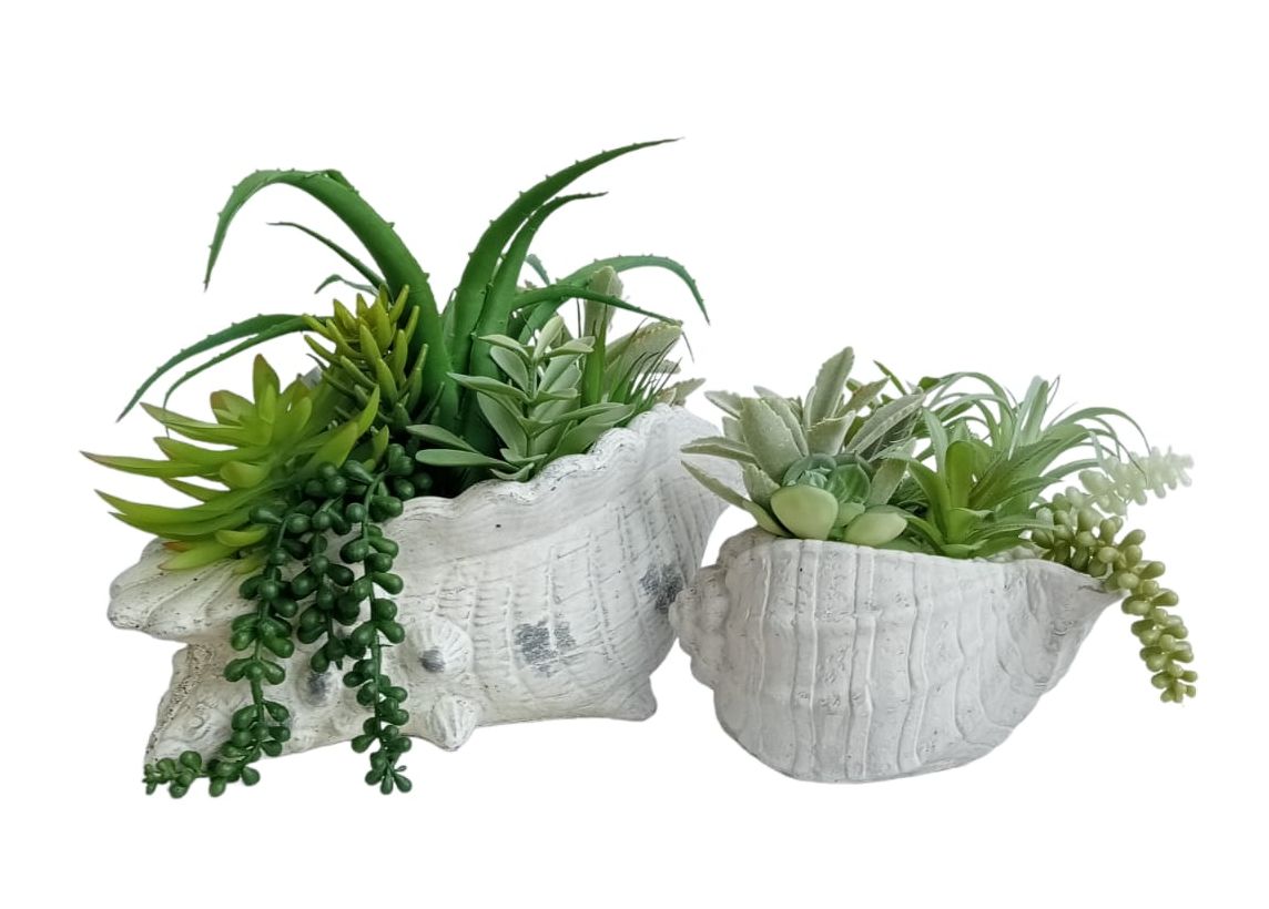 Vaso in cemento a forma di conchiglia con piante artificiali Succulent - Enzo De Gasperi